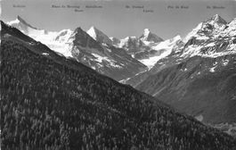 Chandolin – Wald bei St-Luc, Anniviers (VS)