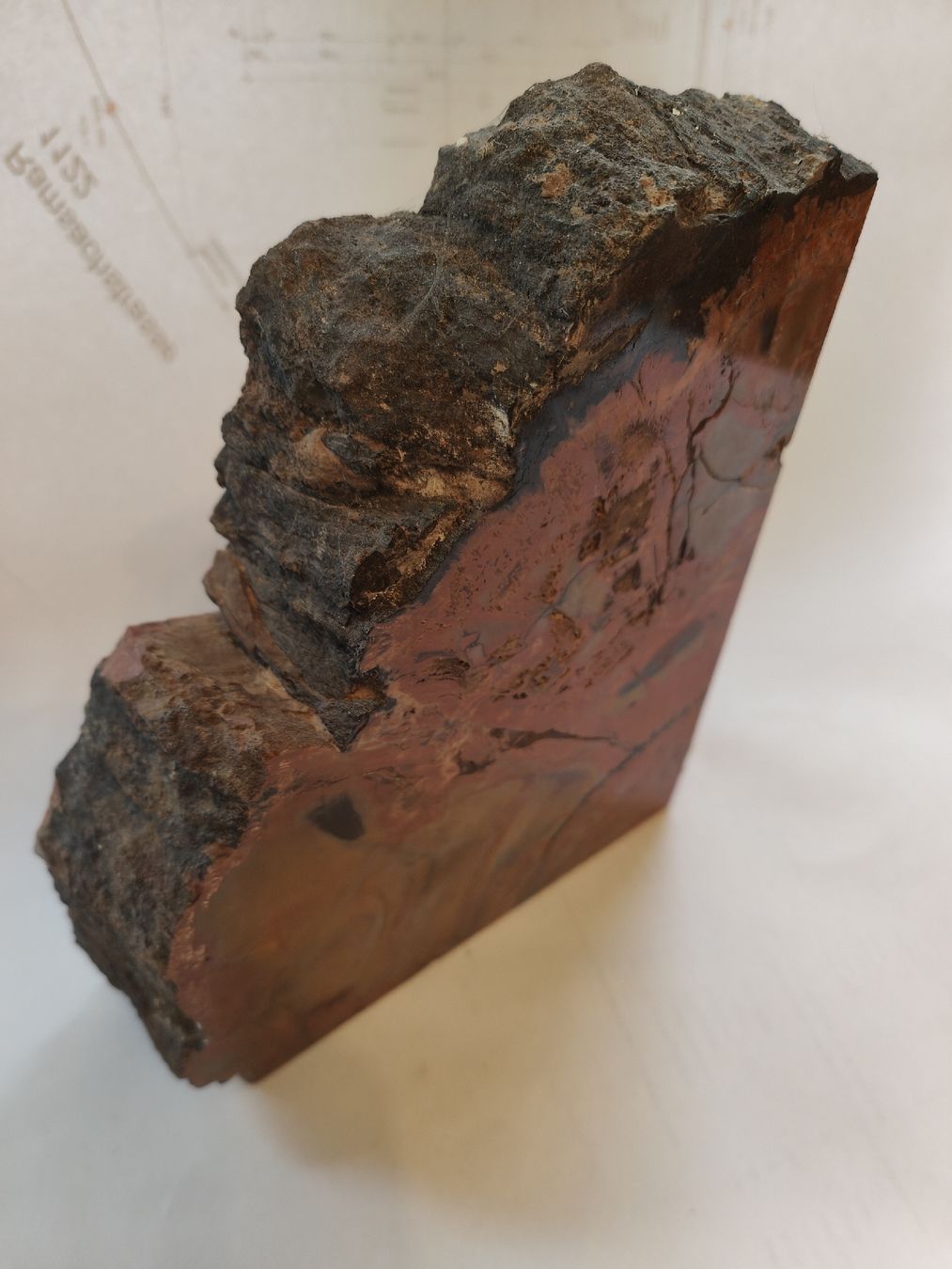 Minerali & Pietre curative: Seltene Buchstützen aus versteinertem Holz (Arizona) – Usato da Flumenthal venduto da mar_wyw8 3