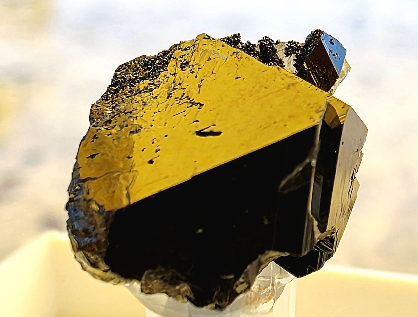 Minerali & Pietre curative: Sehr gross! Magnetit auf Quarz mit Rutil Pseudomorphose – Usato da Glis venduto da nbu_65ys