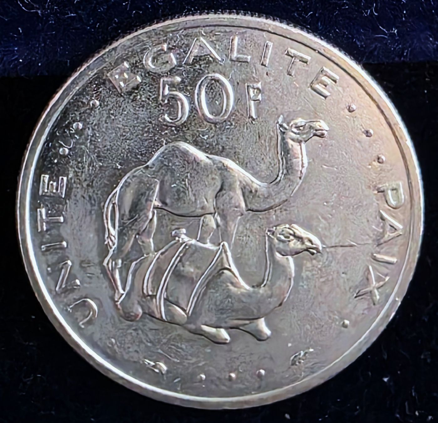 Tutti le monete: DSCHIBUTI 50 FRANCS 1991 – Usato da Winterthur venduto da Creso70