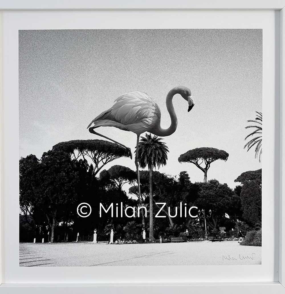 Foto & Immagini: Travel postcards 011 – Nuovo (secondo la descrizione) da Uetikon am See venduto da mil_7k2b