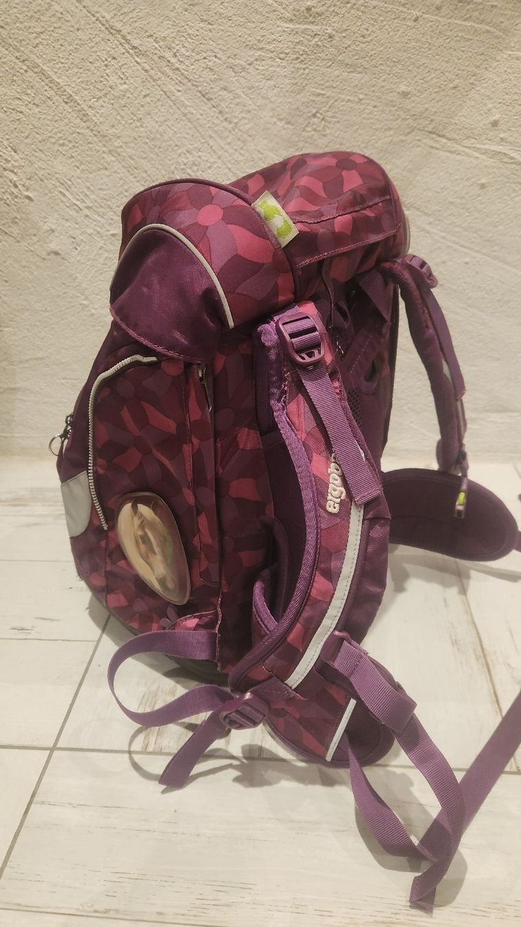 Borse & Zaini: Ergobag Schulrucksack - Perfekt für den Schulstart! – Usato da Bönigen venduto da Dampflock69 1