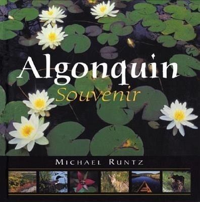 Libri: Algonquin Souvenir von Michael Runtz / NEU – Nuovo e nell'imballaggio originale da Zürich venduto da elsoca