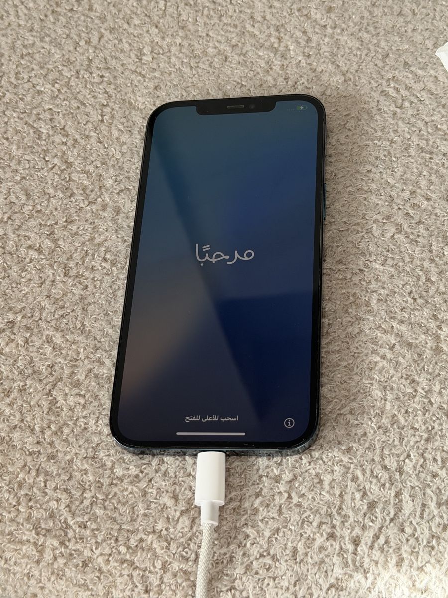 Apple Telefoni cellulari / Smartphones: IPhone 12 Pro Max – Usato da Winterthur venduto da dri_g2w9 1