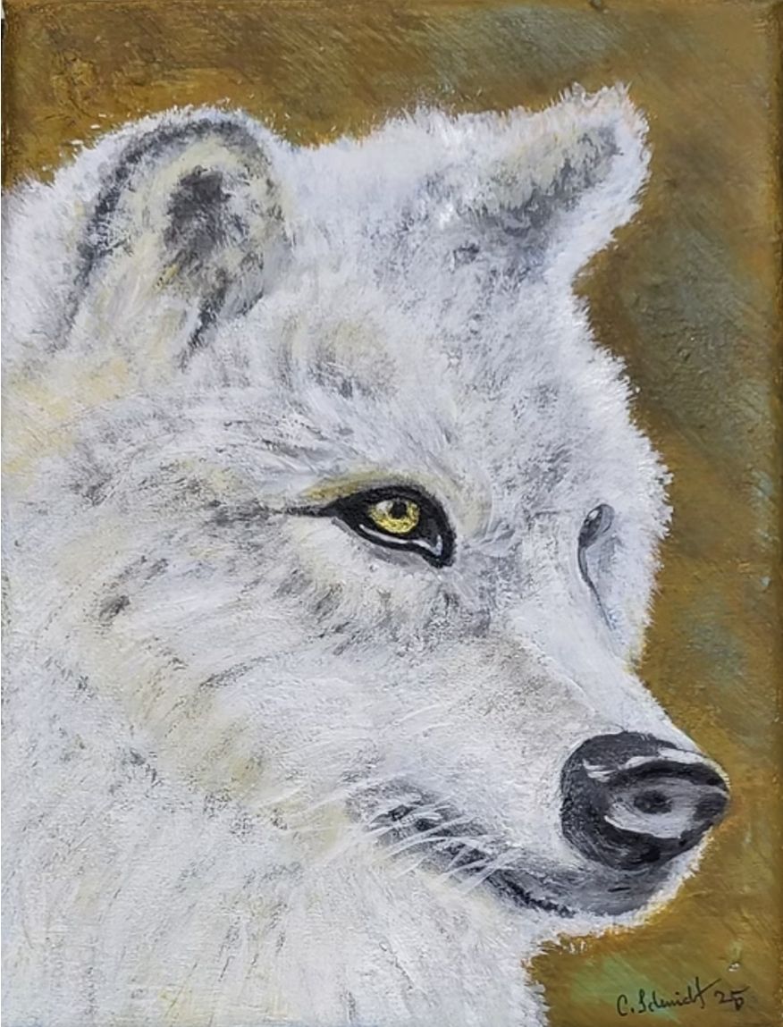 Foto & Immagini: Polarwolf – Nuovo (secondo la descrizione) da Meggen venduto da car_rxl6