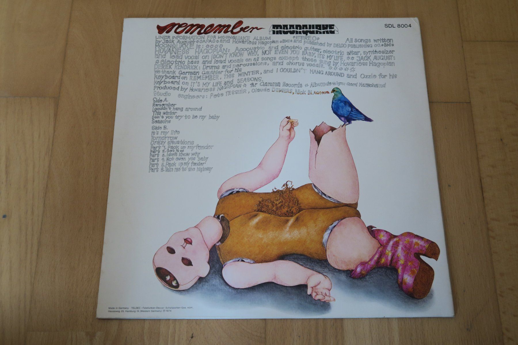 Dischi in vinile: Moonquake – Remember – Usato da Thun venduto da Karibu70 2