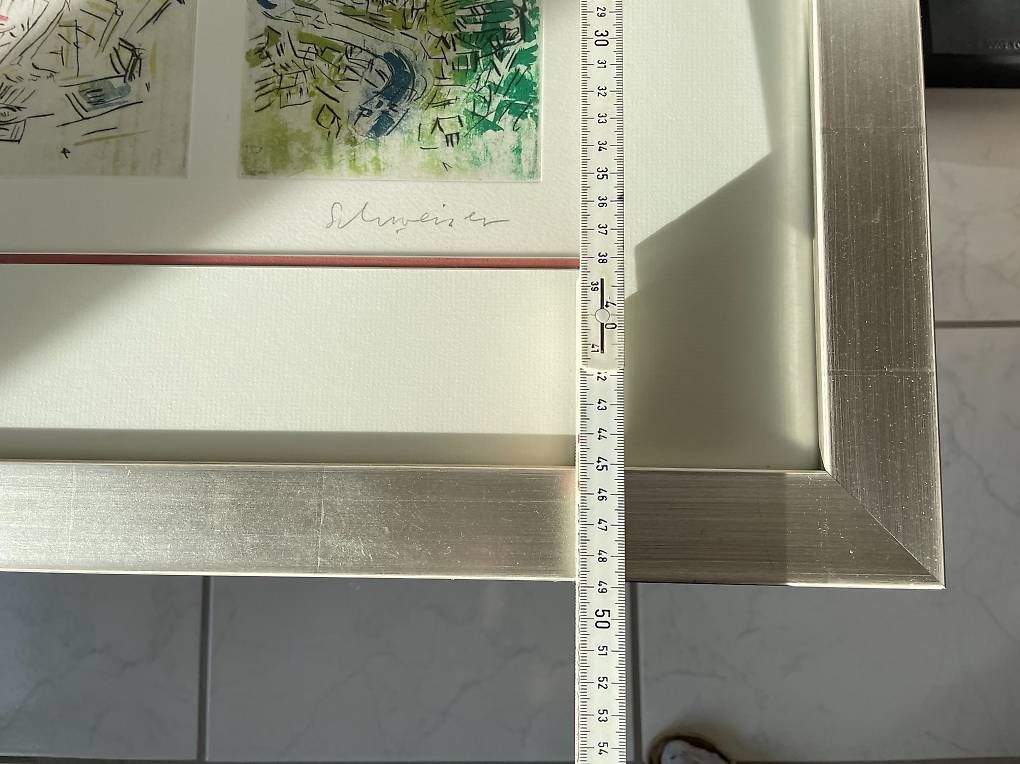 Foto & Immagini: Maler Schweizer 49x80 cm Rahmen Silber – Usato da Brittnau venduto da Seeedia 3