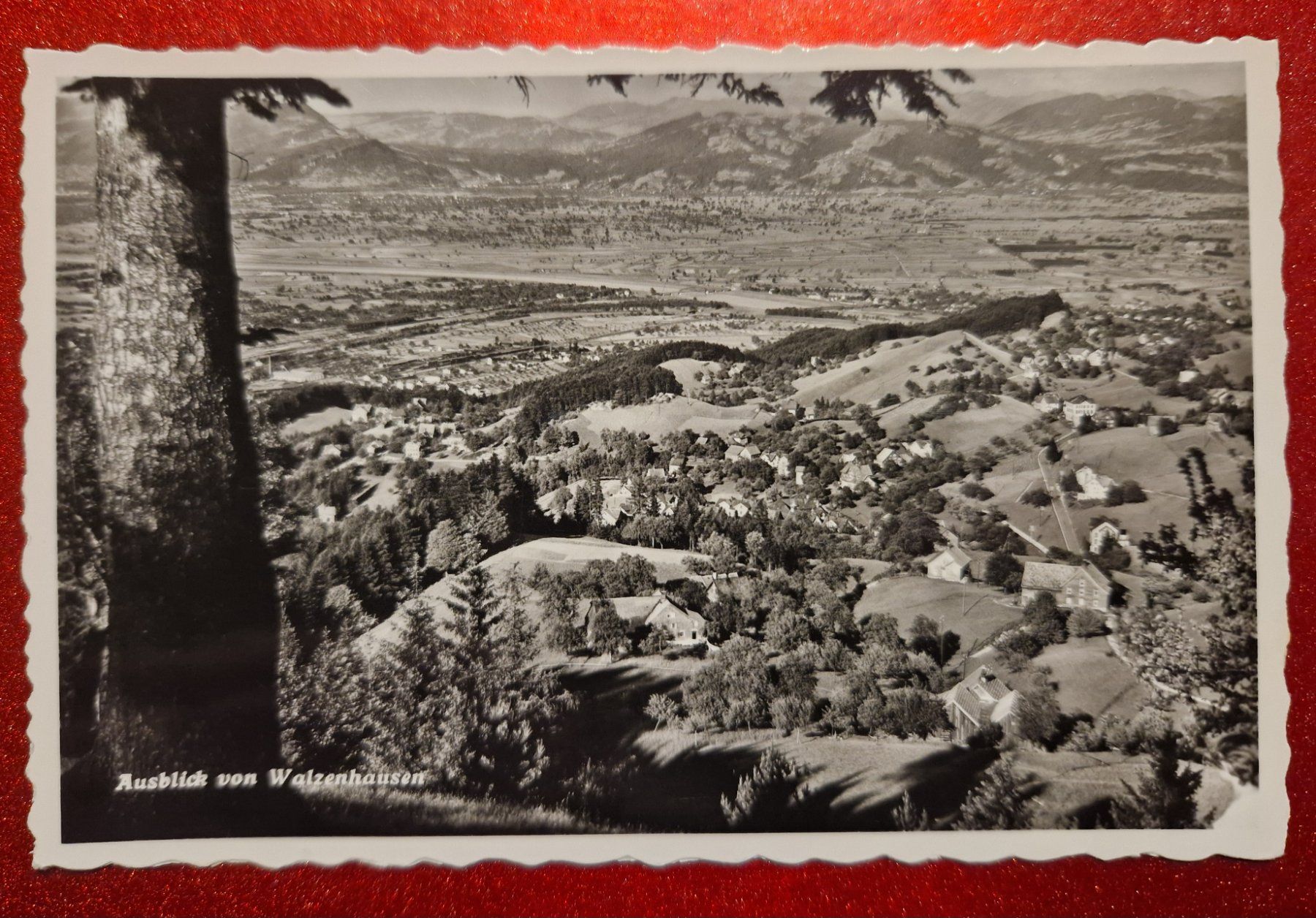 Cartoline postali: Ausblick von Walzenhausen top – Nuovo (secondo la descrizione) da Melchnau venduto da Fishel