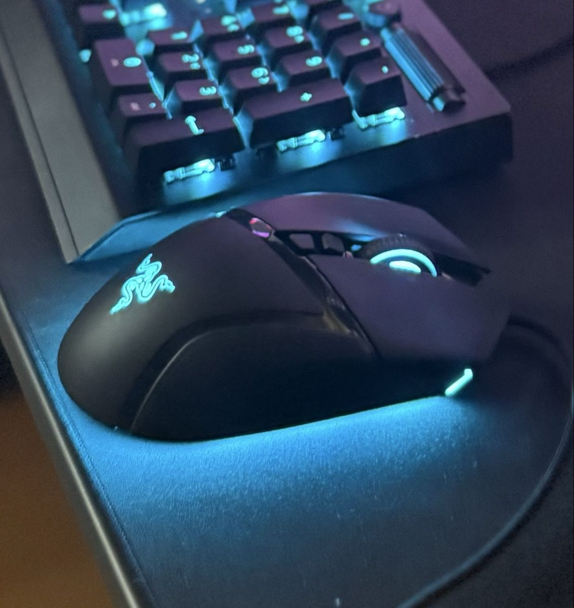 Razer Mouse: Razer Basilik V3 – Usato da Höri venduto da rifip 2