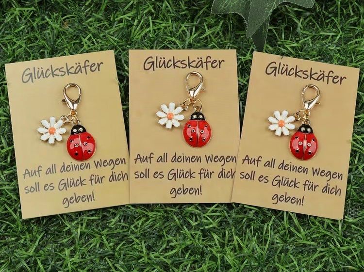 Porte-clés: GLÜCKSKÄFER - Anhänger NEU! – Neuf avec emballage d'origine à Frauenfeld par SCHATZtruhe_369 1