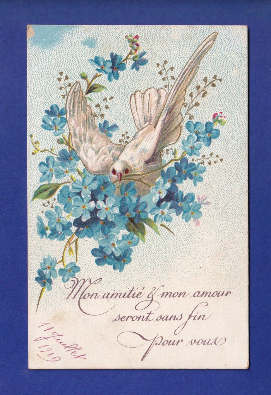 Cartes postales: OISEAU - Colombe et fleurs – D'occasion à Pully par nicecards-shop