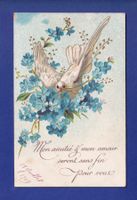 OISEAU - Colombe et fleurs