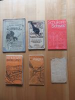 6 alte Schulkarten Schweiz, AG, BL, ZH