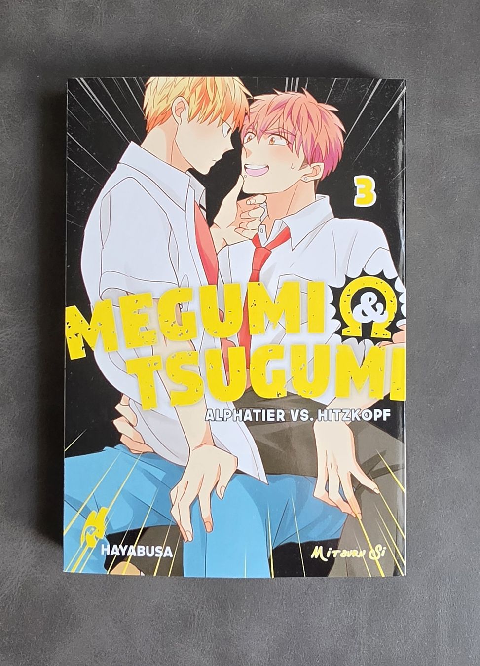 Comics: Megumi & Tsugumi, Band 3, Boys Love Manga, Top Zustand – Neu (gemäss Beschreibung) aus Turgi von Swissrico08