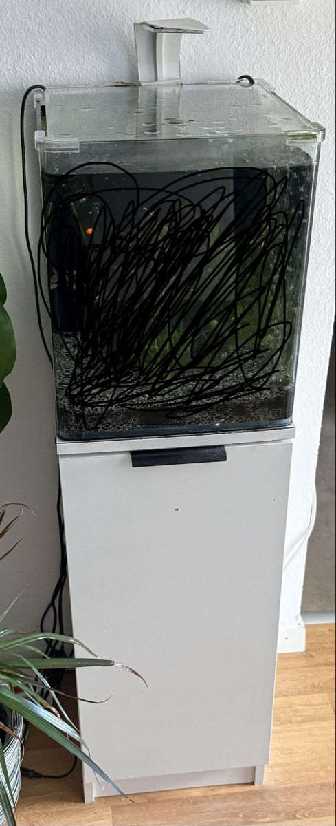 Aquarium: Aquarium mit Gestell – Gebraucht aus Lyss von KiS12
