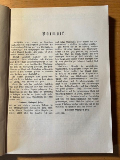 Libri: Der Lebensroman des Leutnants Bringolf selig – Usato da Seon venduto da retep012 4