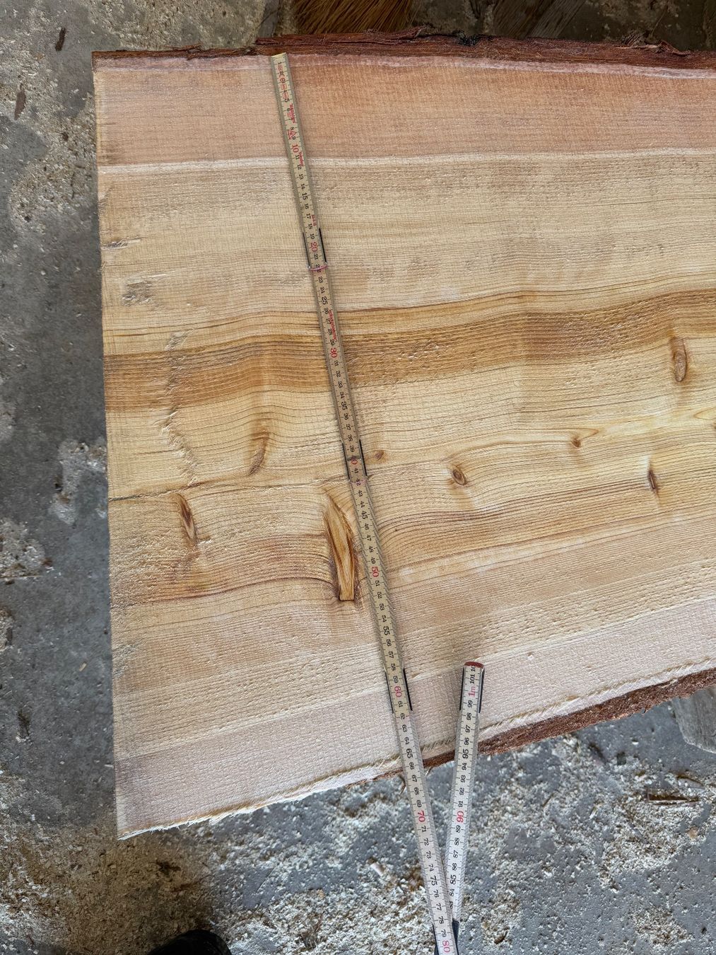 Articoli in legno: Thuja Bretter ganzer Stamm – Usato da Holziken venduto da Timbergrizzly 5