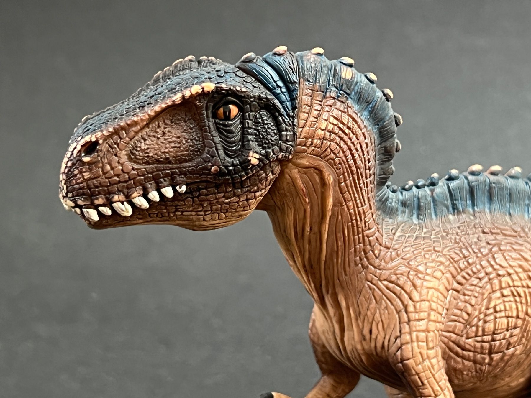 Schleich Figuren: Schleich Acrocanthosaurus 14584 Dino Dinosaurier – Gebraucht aus Ennetbaden von mapa05 6