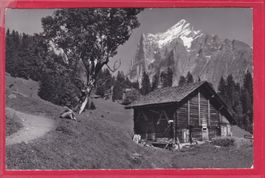 BEI GRINDELWALD, WETTERHORN, 17.8.1964