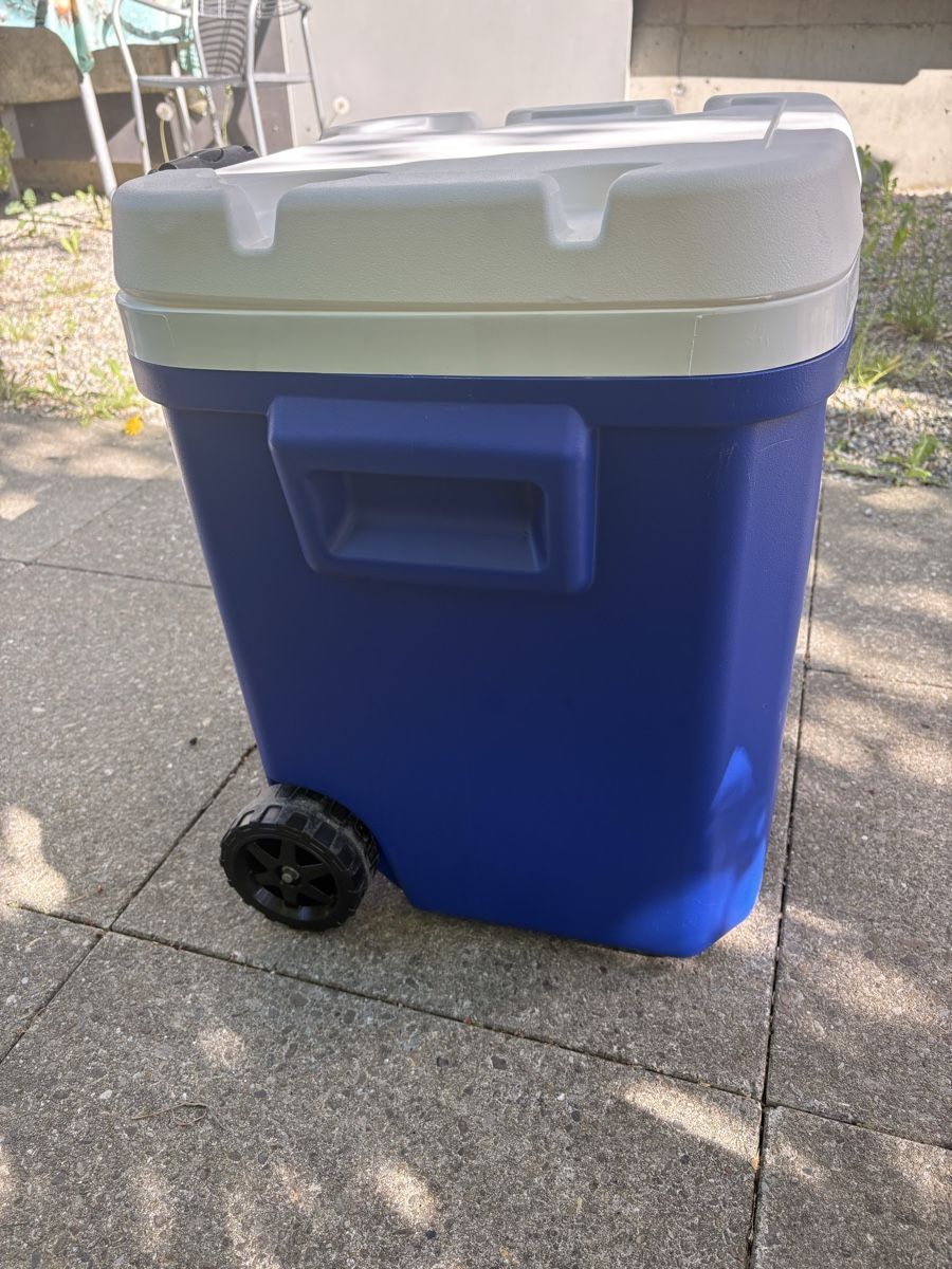 Frigoriferi & Refrigeratori: Igloo Kühlbox Laguna, 56 Liter - TOP – Nuovo (secondo la descrizione) da winterthur venduto da Romabier1 2