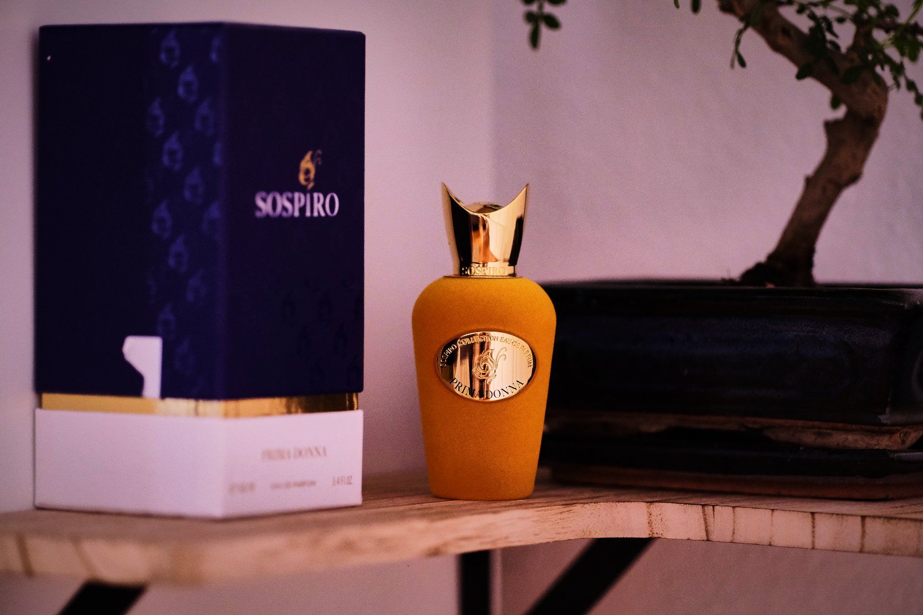 Profumi & Eau de Toilette: Prima Donna, Sospiro (DECANT 1ml, 2ml, 5ml et 10ml) – Usato da Neuchâtel venduto da switzer_scent