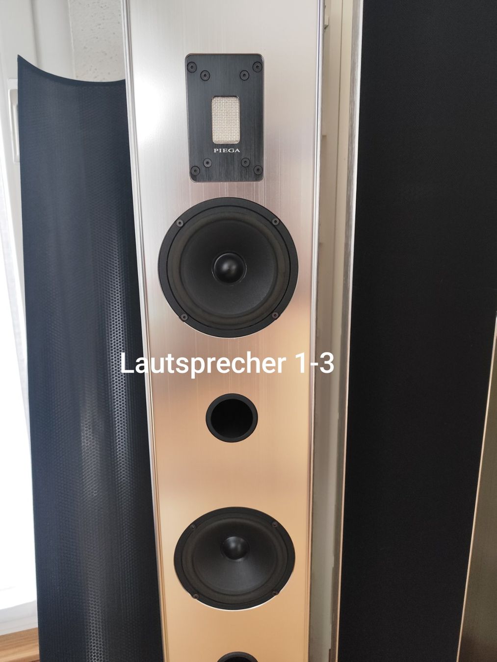Piega Home Cinema: PIEGA P4 XL Standlautsprecher – Usato da Brunnen venduto da Kaufrausch7 3