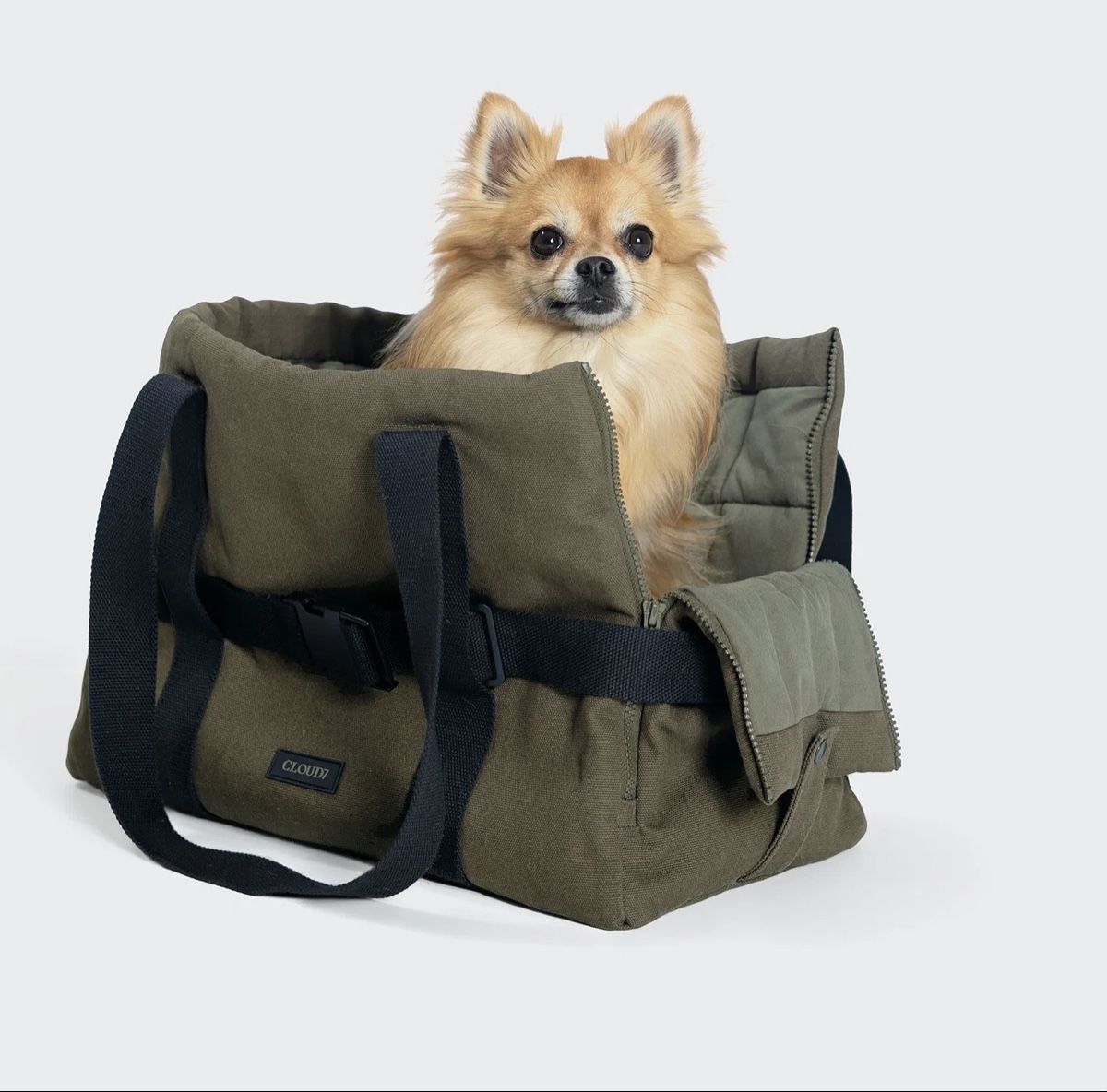 Cloud7 Borse: CLOUD7 Hundetasche Turin Canvas Olive – Usato da Weesen venduto da isabelleST