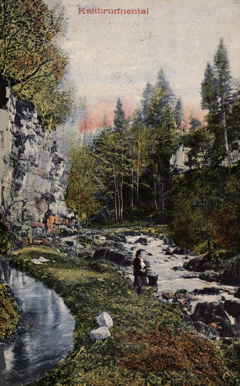 Ansichtskarten: Kaltbrunnental – Gebraucht aus Bronschhofen von Astore