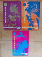 Shinkan  (Band 11 - 12 - 13)     ·  > Deutsche Ausgabe <
