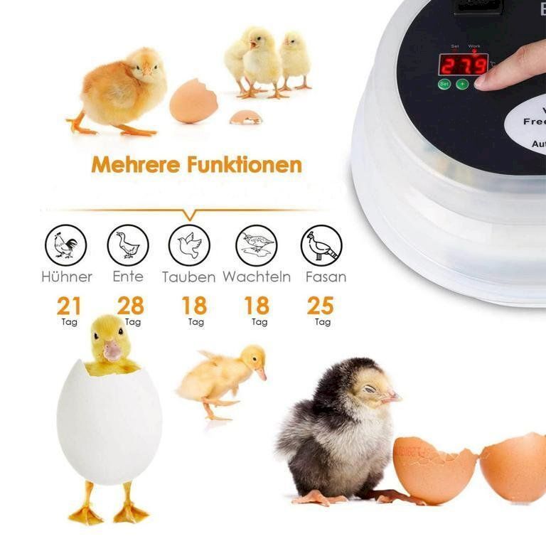 Altro in Accessori per animali: Inkubator Brutmaschine 9-12 Eier – Nuovo e nell'imballaggio originale da Bottighofen venduto da zaap 2