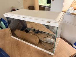 Aquarium complet