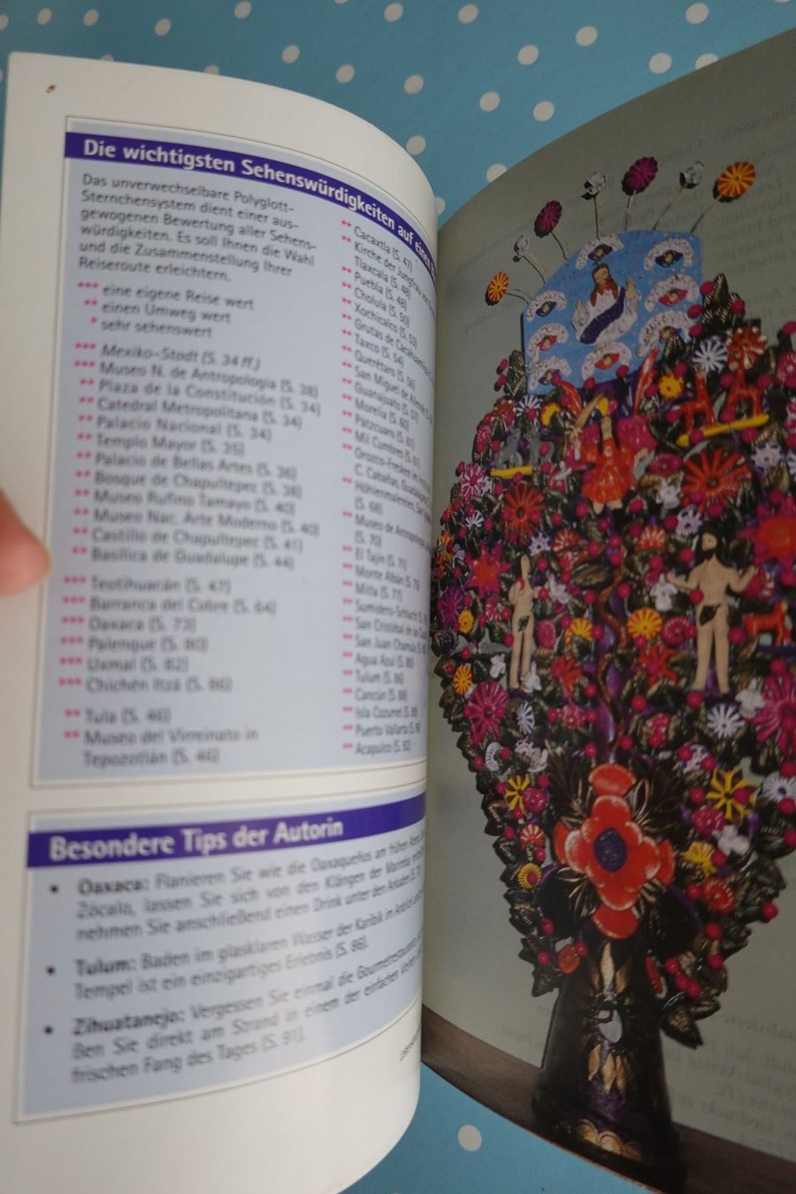 Libri: handlicher Reiseführer Mexiko - Polyglott - Reisen – Usato da Jona venduto da JOberg_25 2