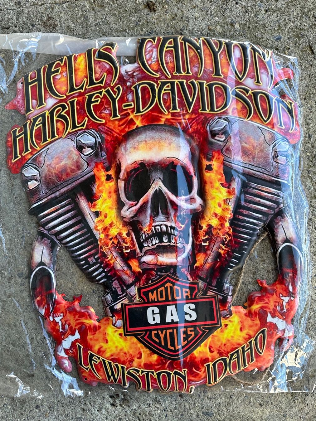 Insegne: Harley Davidson skull hells canyon Flammen – Nuovo (secondo la descrizione) da Reinach AG venduto da rares75