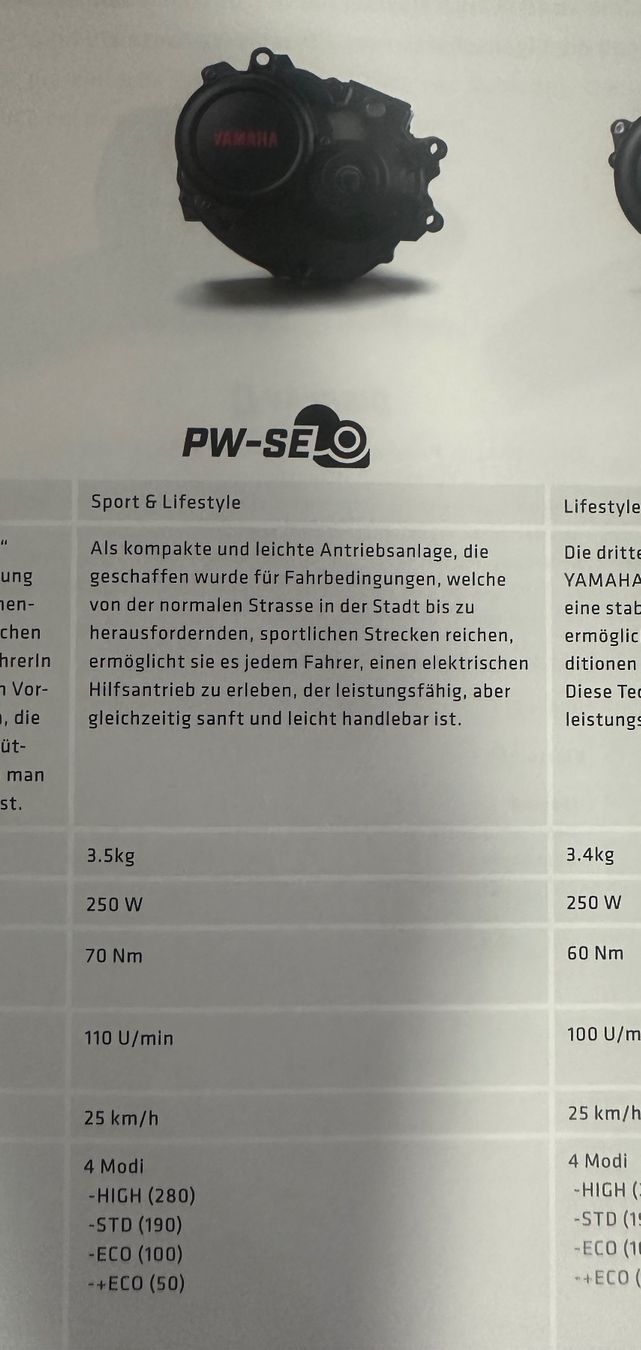Wheeler Biciclette: Wheeler E-Bike – Usato da Sulz LU venduto da Terra5 7