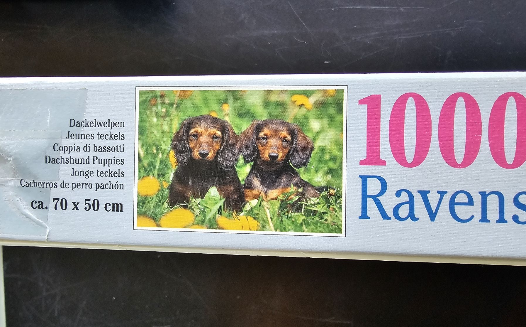 Ravensburger Puzzles: Ravensburger Puzzle 1000 Teile - Dackelwelpen – Gebraucht aus Altstätten SG von Carrybones 1