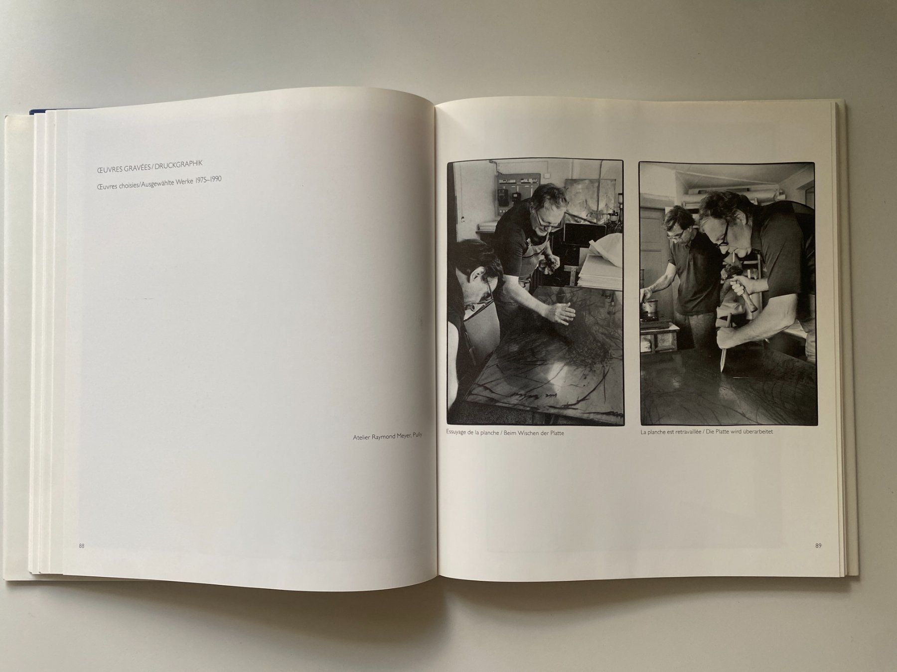 Bücher: Kunstband, Buch Rolf Iseli – Gebraucht aus Gümligen von Vicky2 5