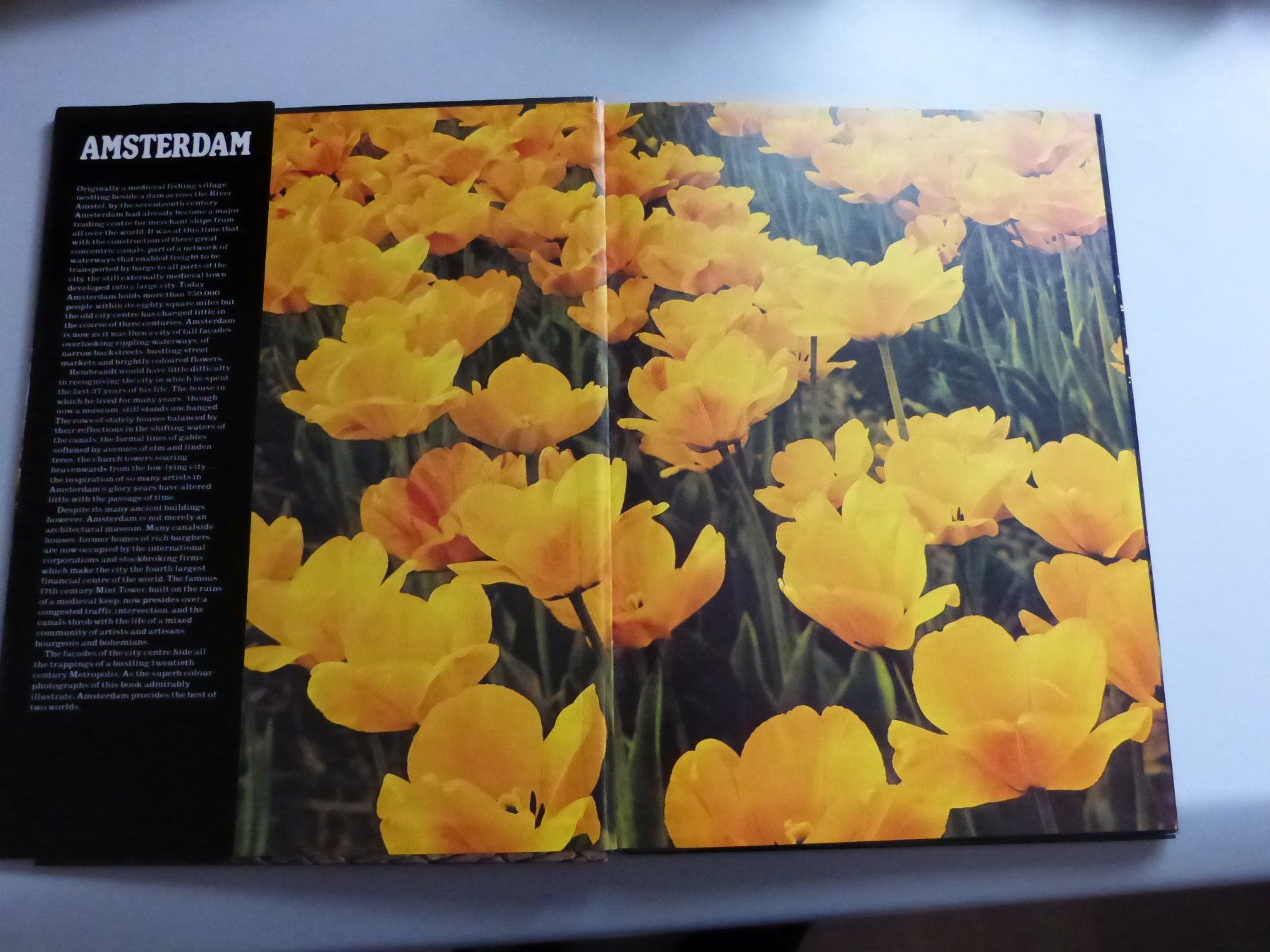 Libri: Bildband  Amsterdam – Usato da Altendorf venduto da Hoppla45 1