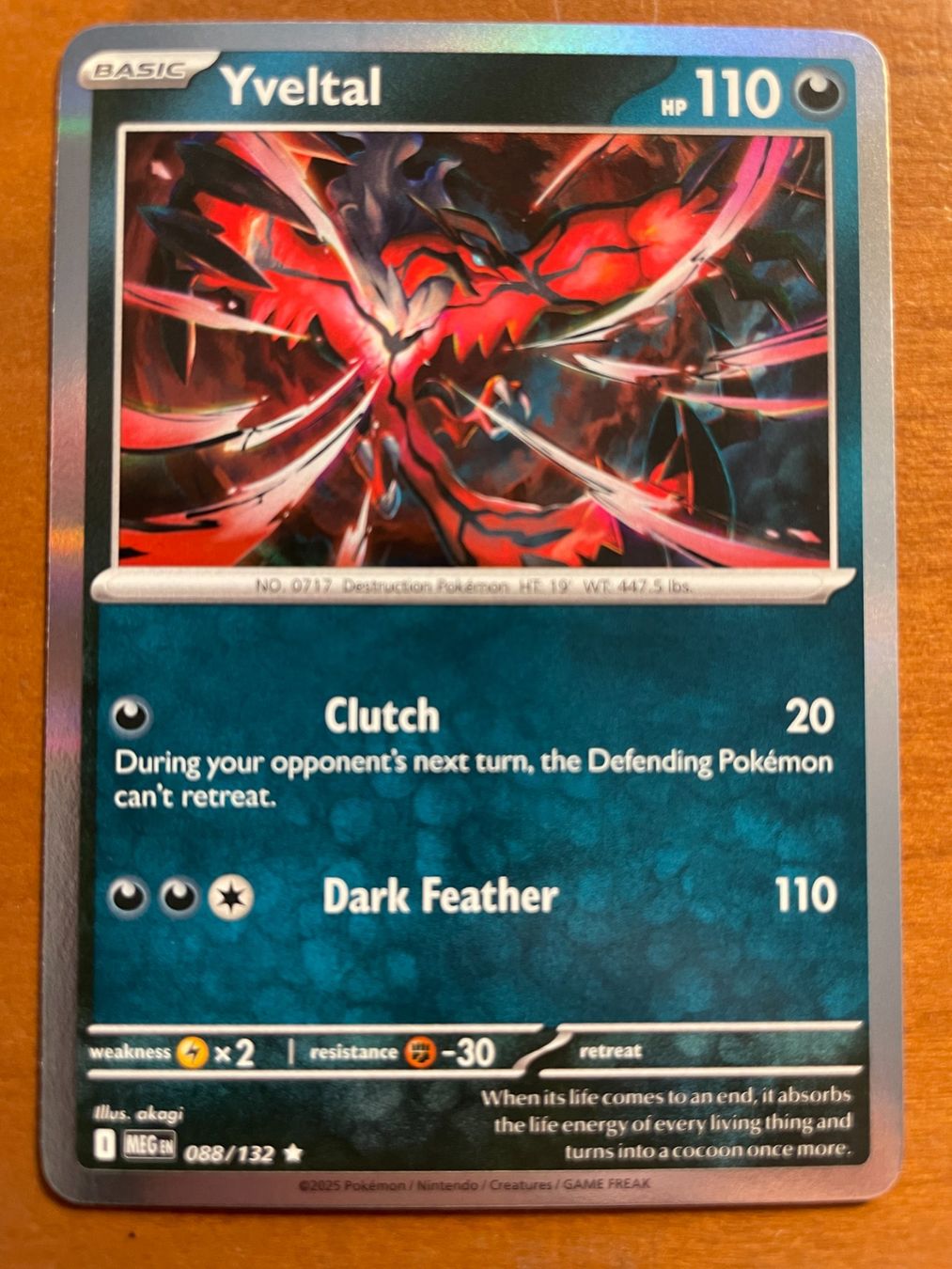 Pokémon Sammelbilder & Trading cards: Pokemon Yveltal Holo (Versand gratis) – Neu (gemäss Beschreibung) aus Chur von Angerson