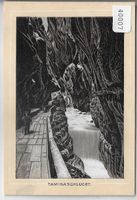 Taminaschlucht - Litho - Sammelbildchen keine AK