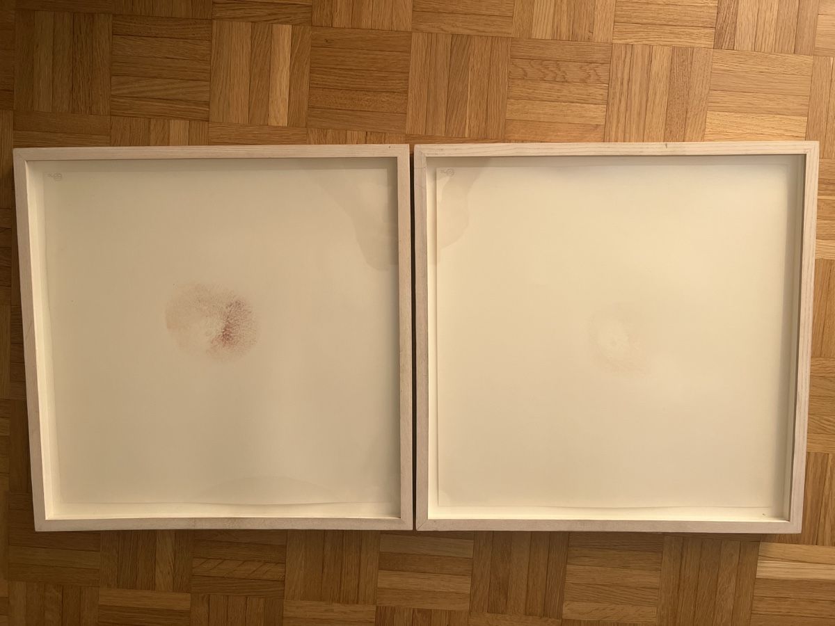 Dipinti: Brigid Polk Tits Paunting original – Usato da Zürich venduto da jao_2bx7