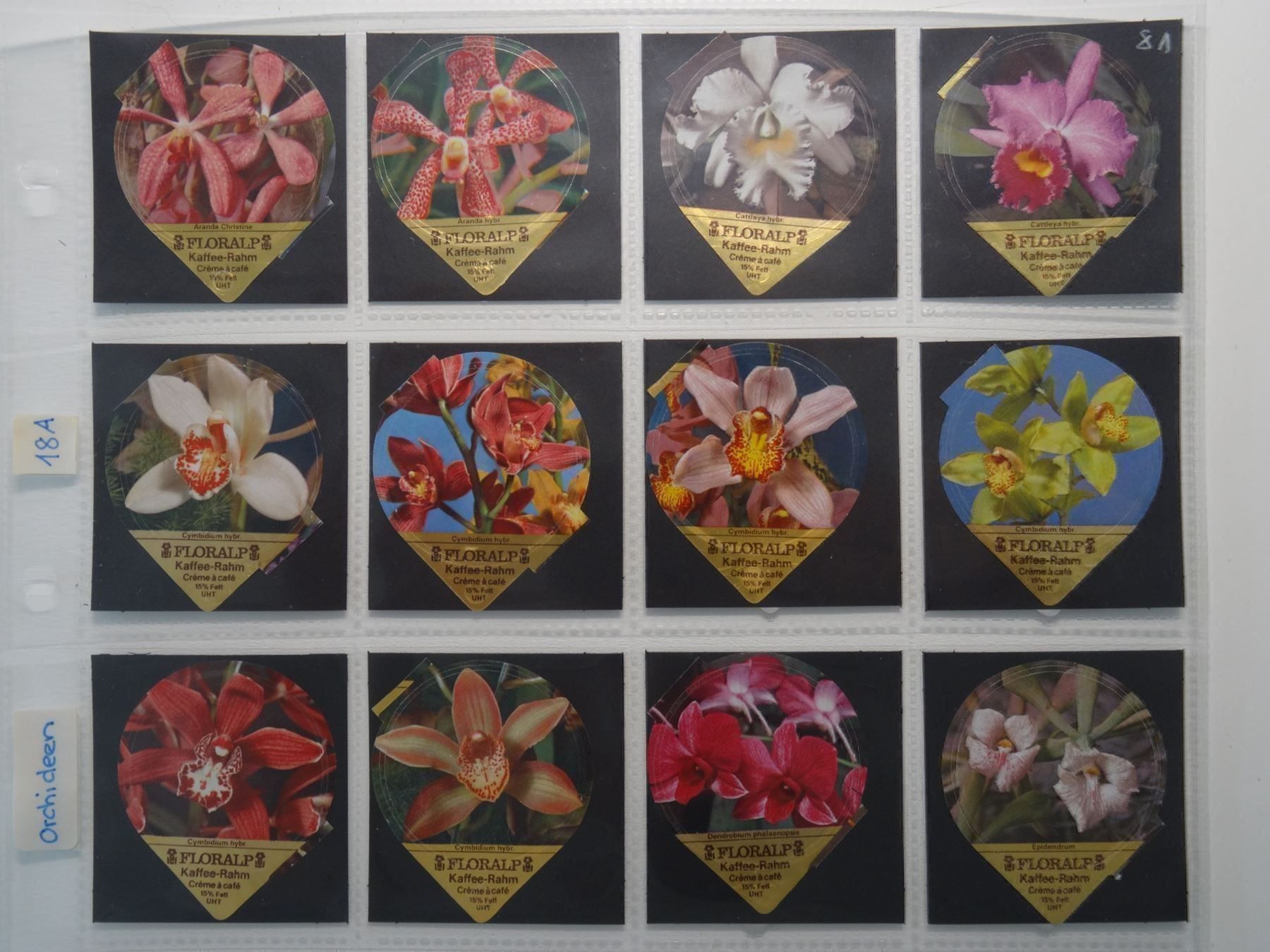 Coperchi dei cremini per caffè: KRD Orchideen 1981  18A – Usato da Hochdorf venduto da Teger02