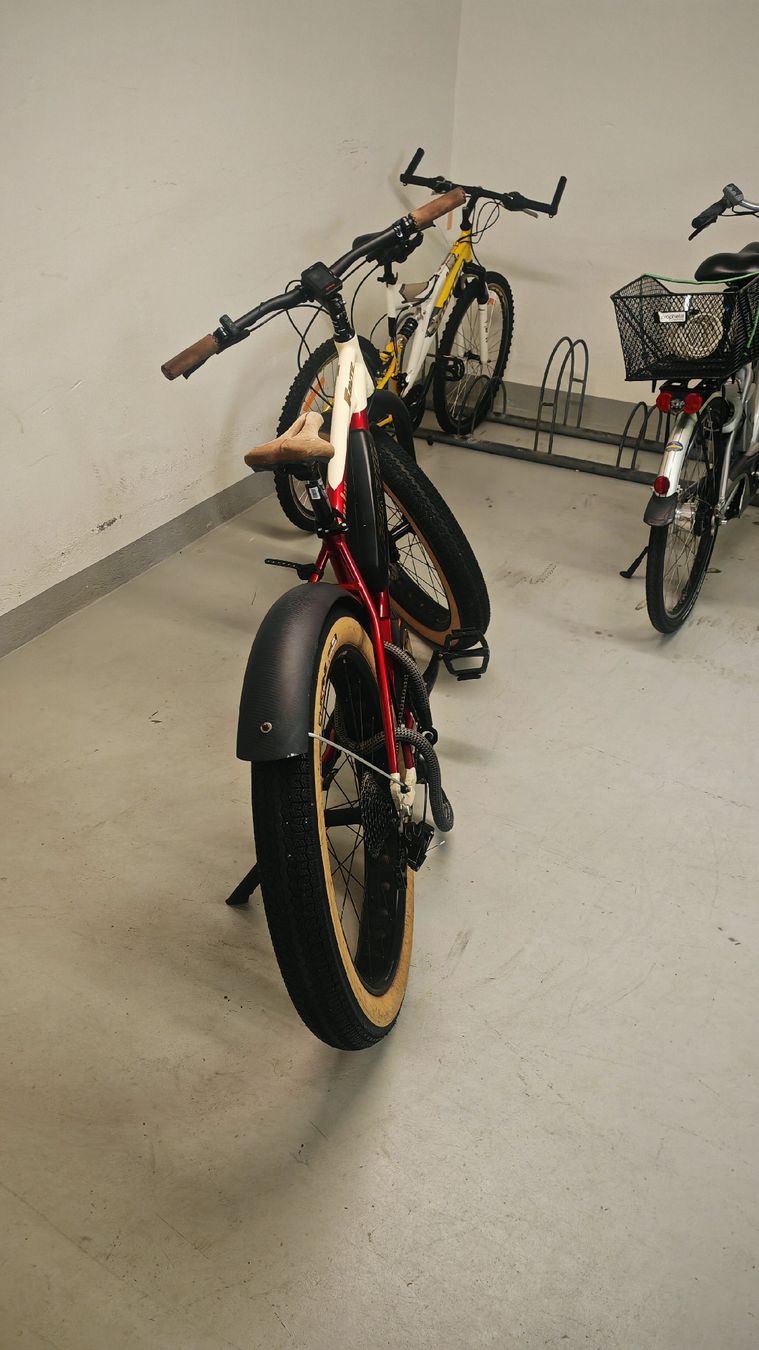 Fantic Biciclette: Fantic E-Fatbike Seven Days – Usato da Olten venduto da Dragon-Bonsai 2