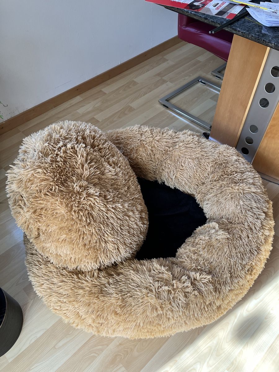 Cucce & Letti: Hunde Kuschelbett creme – Usato da Spiez venduto da Lesi18 1
