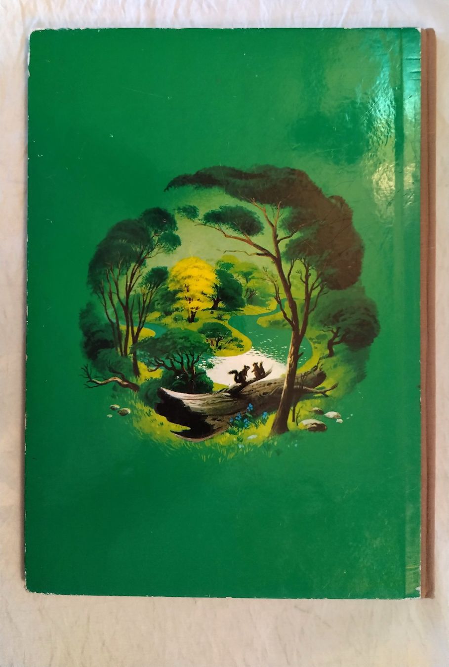Libri: Walt Disney / Eichhörnchen Perri's Abenteuer / Bilderbuch – Usato da Bellach venduto da JingleJerry 8