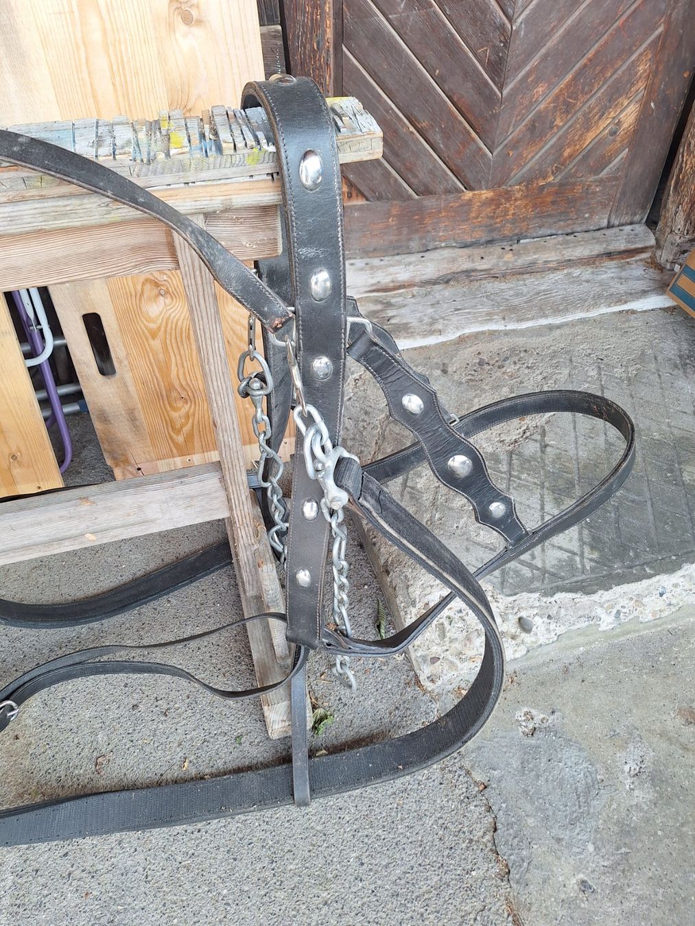 Briglie & Cavezze: PFERDE KLAPPKUMMET MIT EINSPÄNNERGESCHIRR – Usato da Huttwil venduto da Kunterbuntli 7