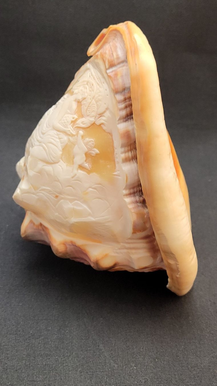 Figuren: Handgeschnitzte Cameo-Muschel – Gebraucht aus Basel von spinne02 4