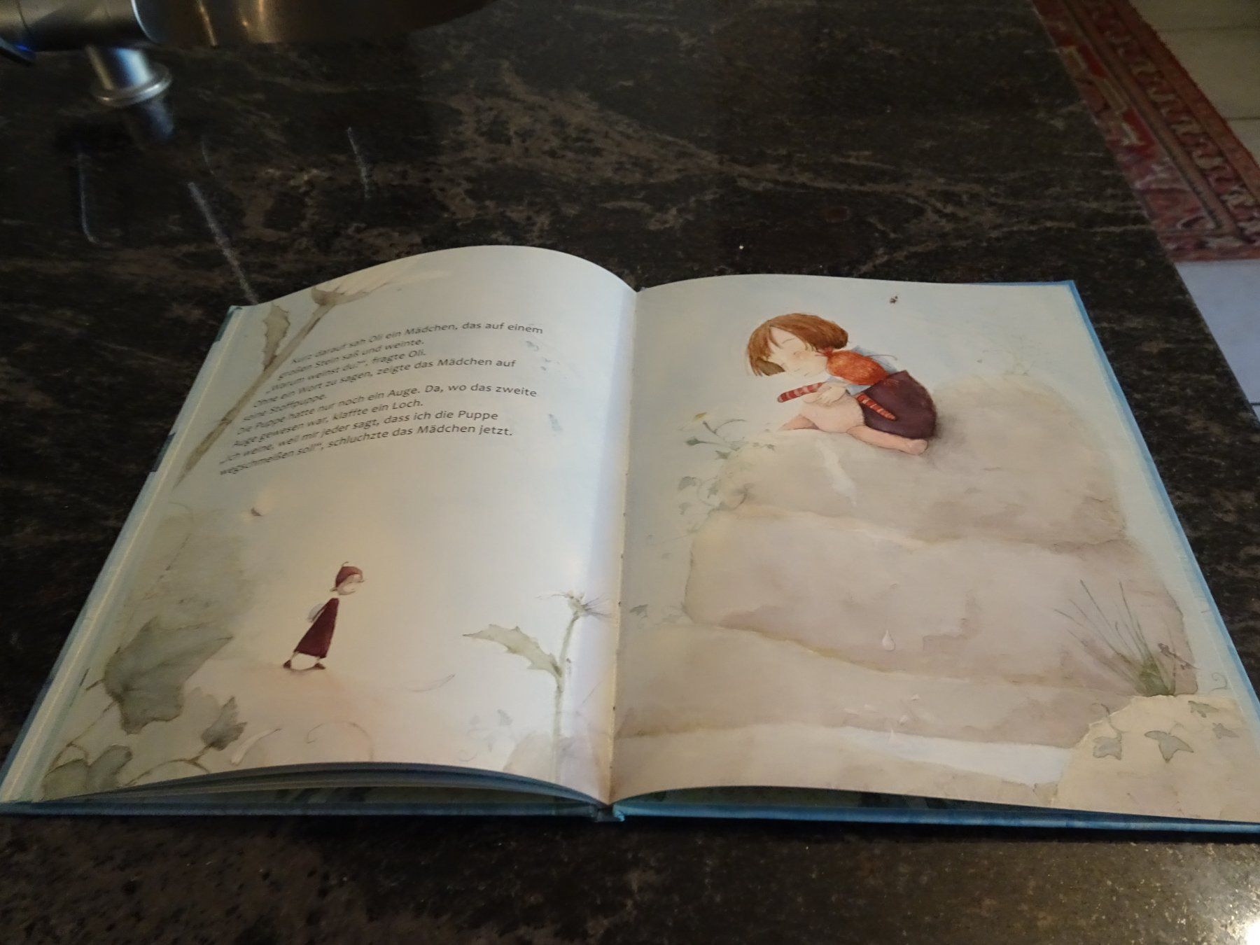 Bücher: Bilderbuch Der Blaue Stein Schöne Bilder / – Gebraucht aus Zürich von Roulet 7
