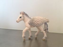 Pegasus Fohlen