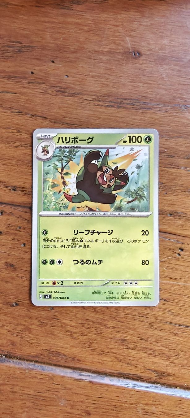 Pokémon Carte collezionabili: Pokemon Karten Set! japanisch! – Nuovo (secondo la descrizione) da Bützberg venduto da SchweizerFund 8