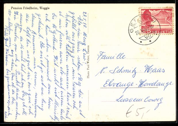 Cartoline postali: AK Weggis, Pension Friedheim mit Garten – Usato da Berlin venduto da bartko-reher 1